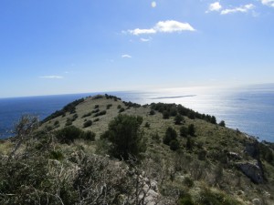 IMG_4472 (Medium)